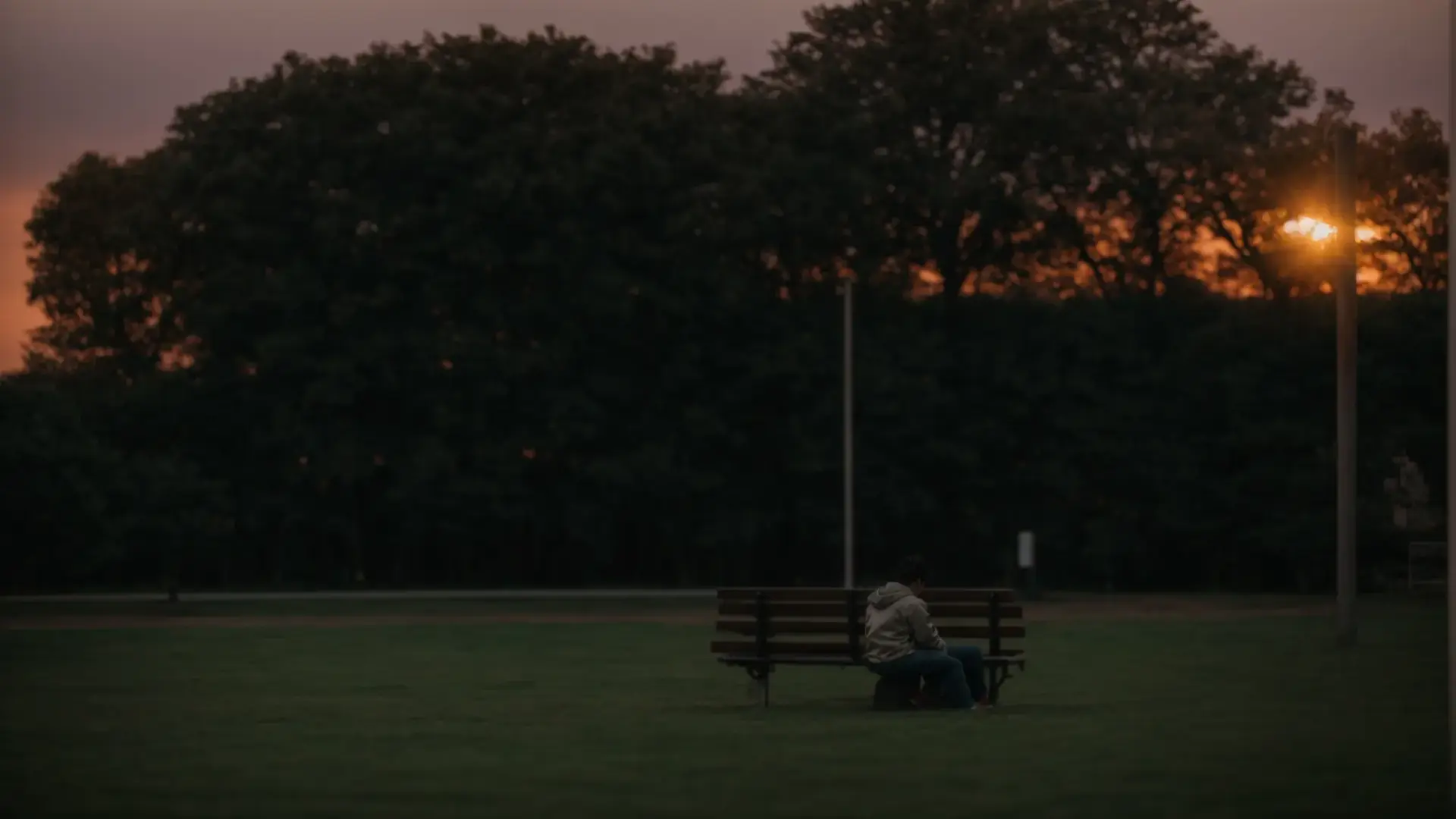 a person sitting alone on a park bench, looking at a sunset with an empty expression.